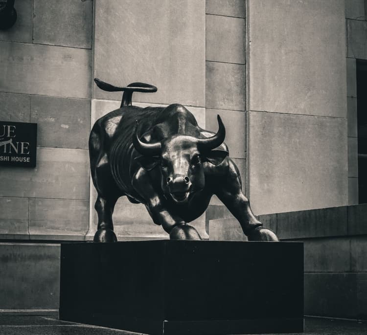 Bull Runs & Blind Spots: Decoding Investment Outcomes